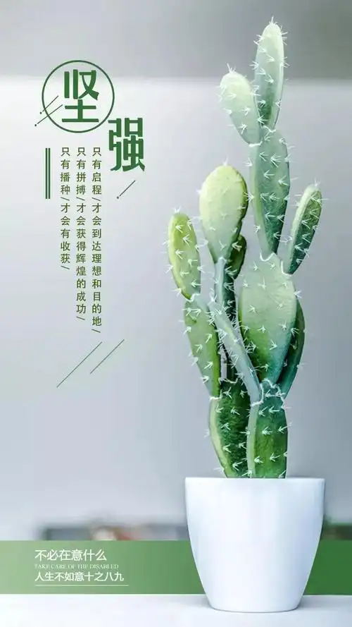 早安心语正能量经典语录早上好经典语句励志