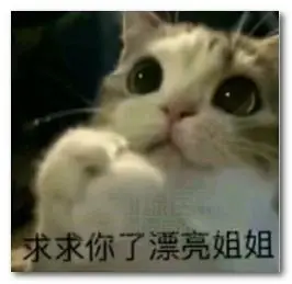 求求你了漂亮姐姐表情包 完整版