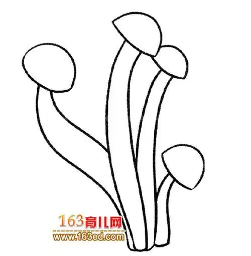 蘑菇简笔画金针菇3
