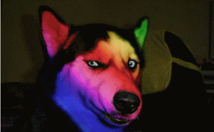 手机按键备忘关于找动态图的常见处理手段和特殊应对