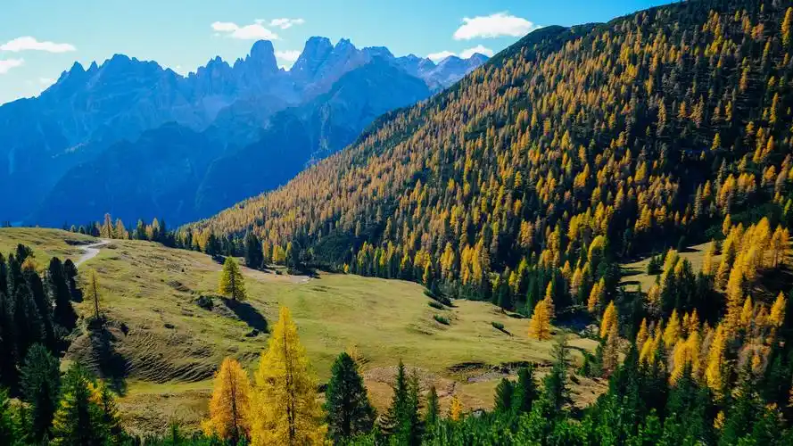 大自然风光无限好