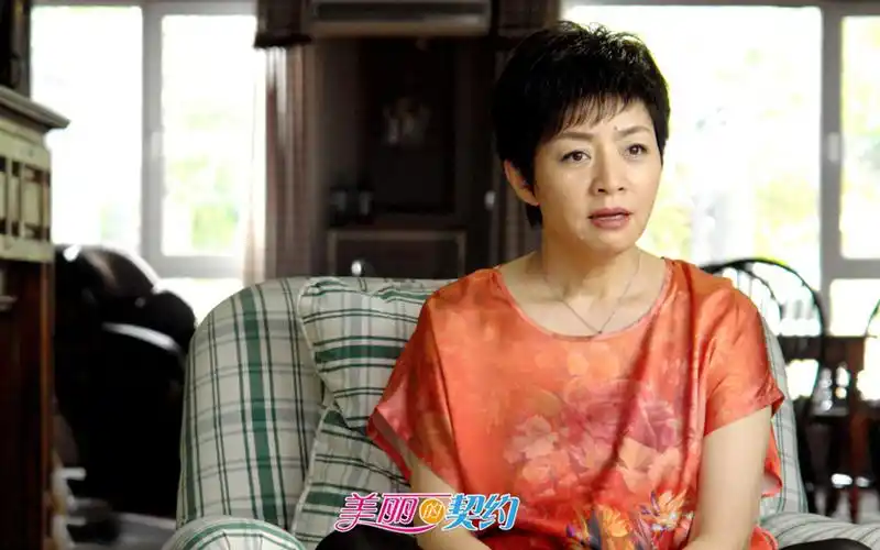 《美丽契约》宋丹丹主演影视桌面壁纸