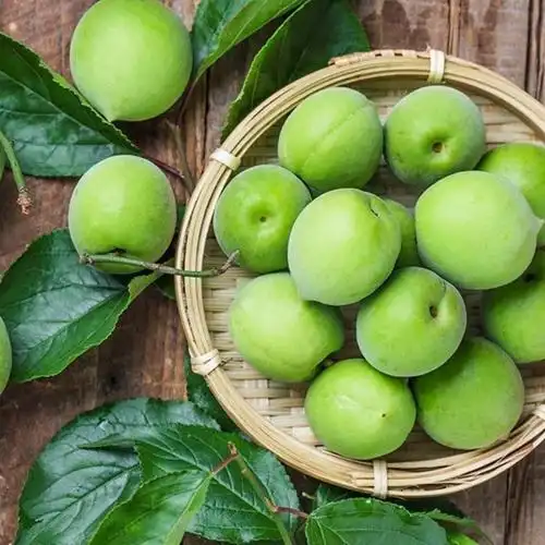新鲜青梅高山大果胭脂梅酸梅子鲜果泡酒当季水果酵素生梅子半斤10年
