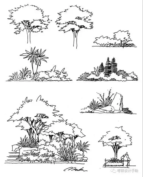 景观建规考研必藏手绘线稿干货线条61单体61小品61透视61鸟瞰