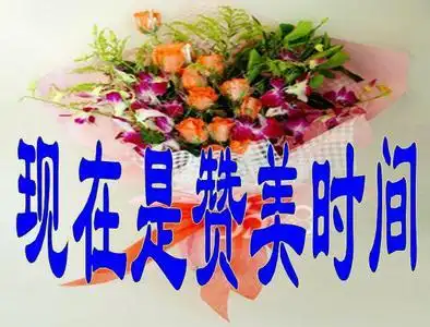 这个故事性的赞美方式比较适用于演讲,那我们牙科老板在给员工开会的