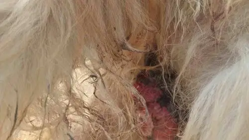 请问怎么回事.急急急