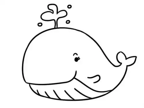 「动物篇」鲸鱼的简笔画分解教程