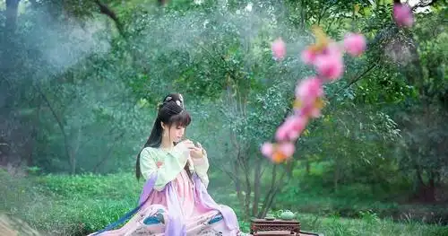 看过豆蔻照片,不得不佩服古人智慧