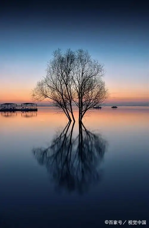 如何保持内心平静?这些专业建议你值得一看