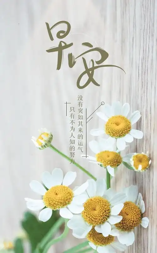 情人早安暖心话短句(情人早安心语经典短句) - 恋爱的句子 - 精美文字