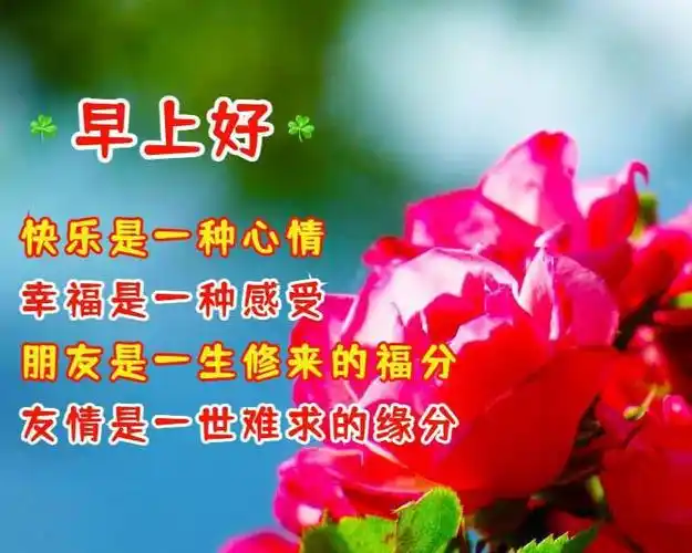 早上好图片带字祝福语真情友情早上好问候祝福短句