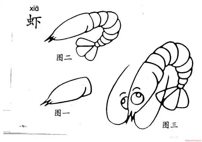 简笔画《虾》画法_简笔画教程