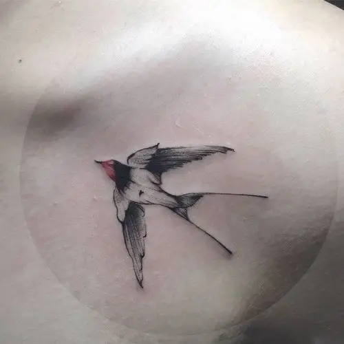 西街girl 中国风水墨燕子暗黑系个性逼真刺青 防水持久背部腹部