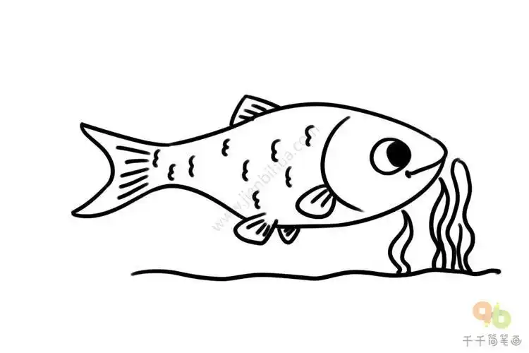 莲鱼简笔画图