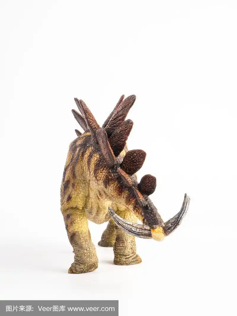 剑龙恐龙在白色的背景.