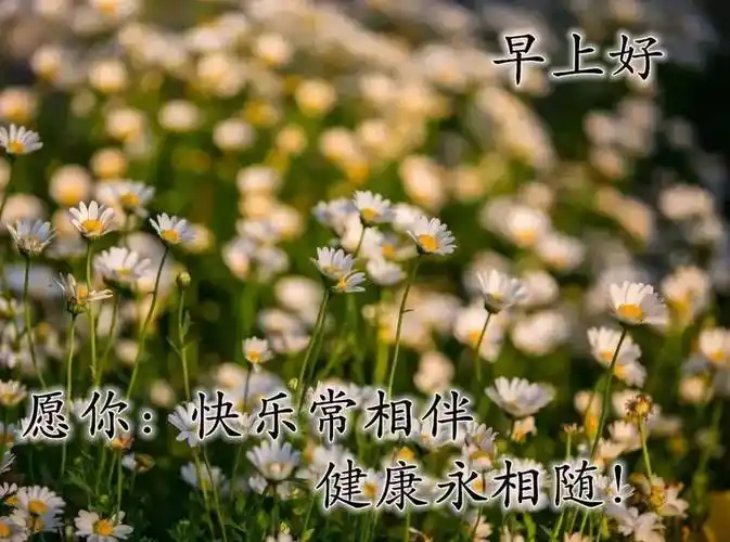 原创8张最新漂亮夏日风景早上好图片带祝福语好看夏天风景朋友圈早安