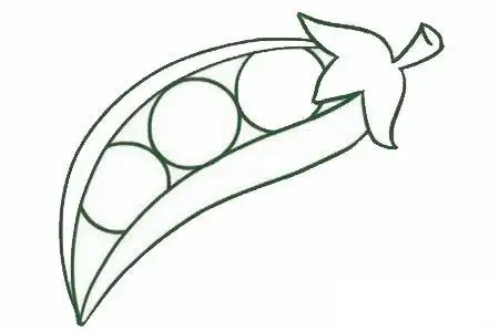 豌豆简笔画的画法步骤教程及图片大全