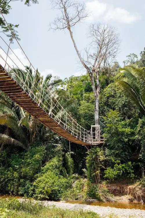 一起回归自然,探索神秘的世界,三亚热带雨林森林公园游记
