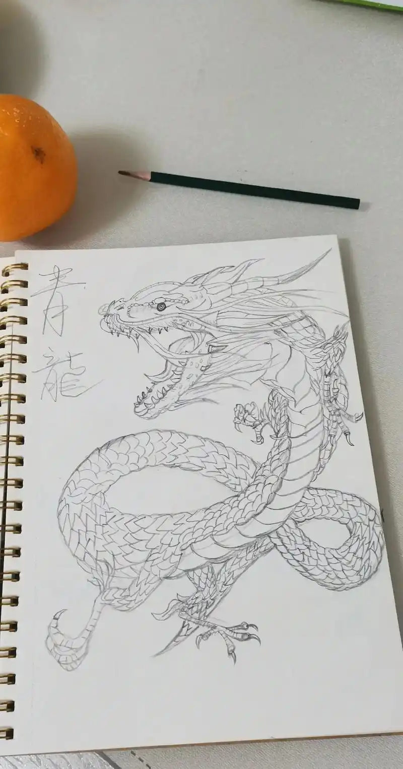 04据说上古四大神兽法力无边,于是我赶紧熬夜画出来,愿它们能 - 抖