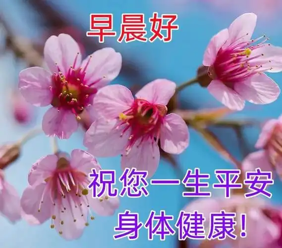 最新早上好问候祝福表情图片,特别漂亮早晨问候表情