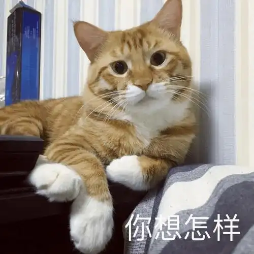 微信斗图表情包i你小子长本事了