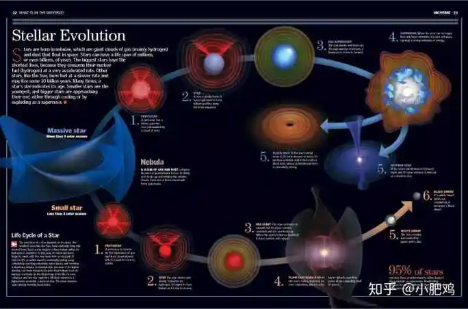 中子星和夸克星的区别在哪?原子核中核子是可区分的吗?