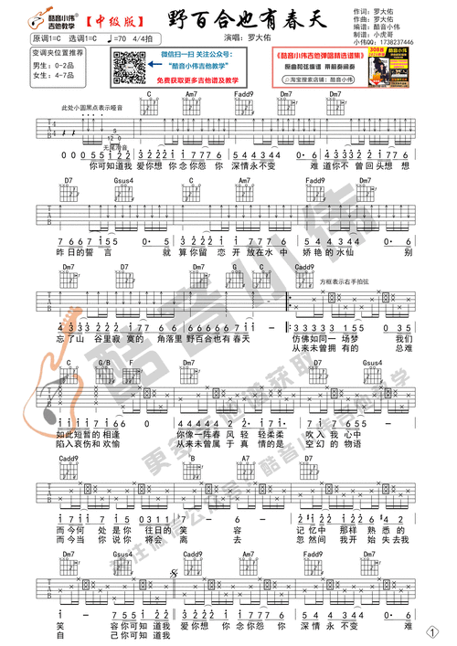 野百合也有春天吉他谱-1