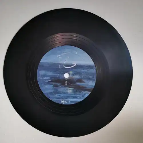 我的唱片回来啦