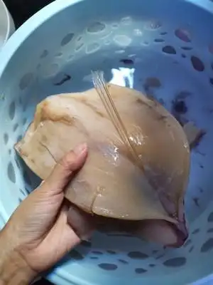 清洗鱿鱼要点1:中间有一根骨头,把它去掉.