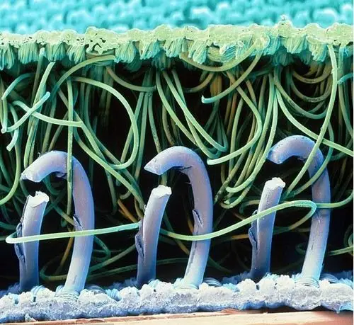 迷人的原子照片,值得你收藏