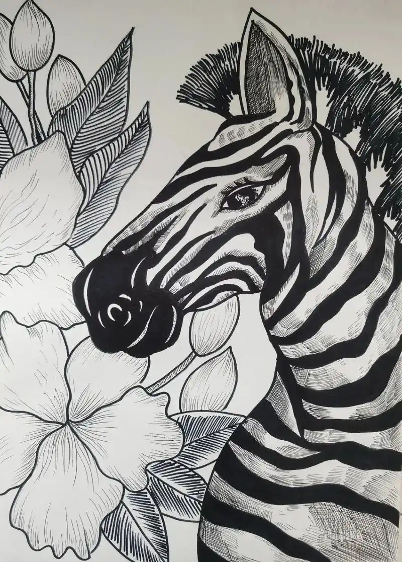 少儿美术教育 #黑白线描画 #线描装饰画  《斑马》 适合 - 抖音