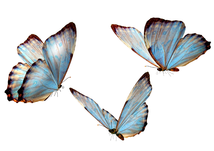 ps海报设计ps海报设计素材