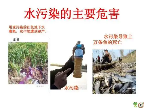 六年级语文上册第四单元口语交际,习作,日积月累ppt 水污染的主要危害