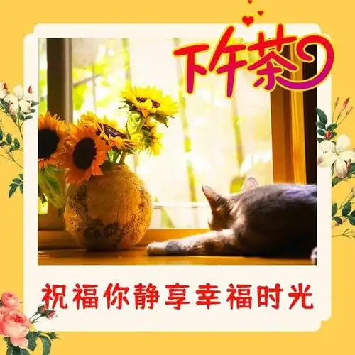 下午好的温馨的问候语最美丽的下午好带字祝福图片