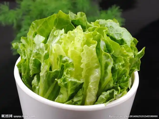 生菜图片