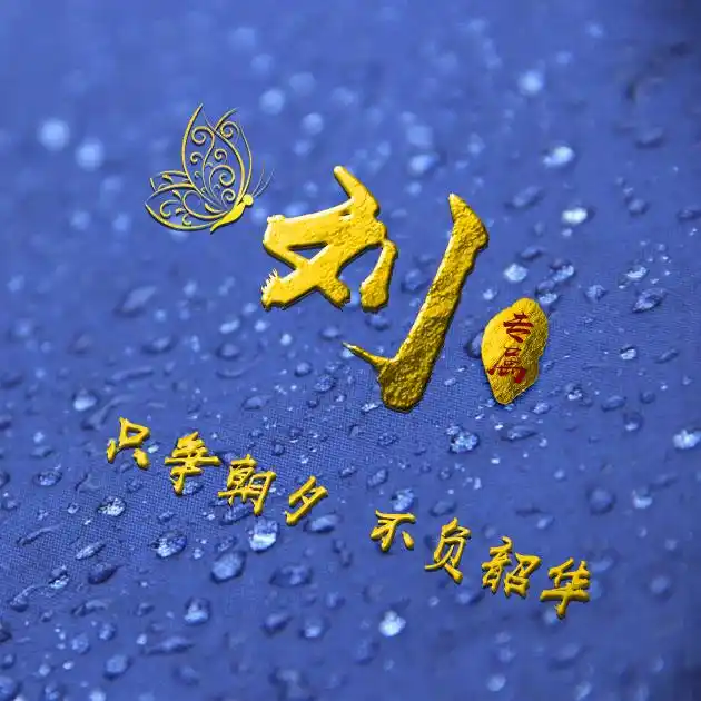 编号b02932张百家姓微信头像励志专属只争朝夕不负韶华