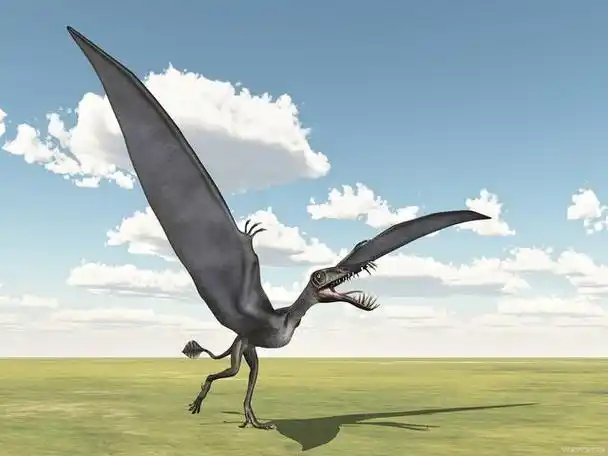 翱翔天际的史前生物:恐龙时代的飞行精灵,森林翼龙和风神翼龙