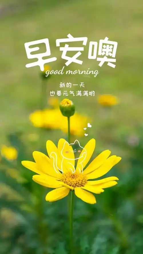 11月5日早安心语正能量加油语录句子 正能量微信早上好图片说说 - 知