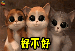 猫卖萌好不好soogif出品soogifgif动图_动态图_表情包下载_soogif