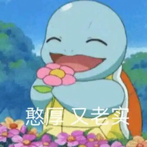 憨厚又老实(杰尼龟表情包)_杰尼龟_憨厚_老实表情