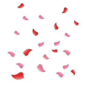 双十二漂浮花瓣插画模板_双十二购物节模板图片_19张模板图片_红动