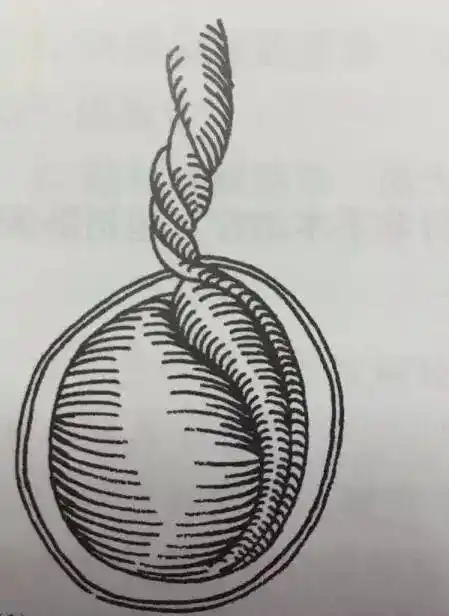 这种痛很危险,严重时可丧失生育能力,黄金治疗期是6小时_睾丸_小超