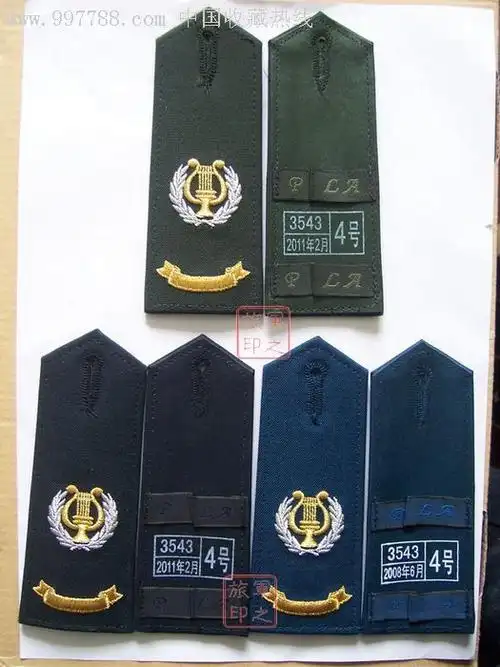 今天我看电视播放的节目,所有的文艺兵都是一种肩章,不管是新演员