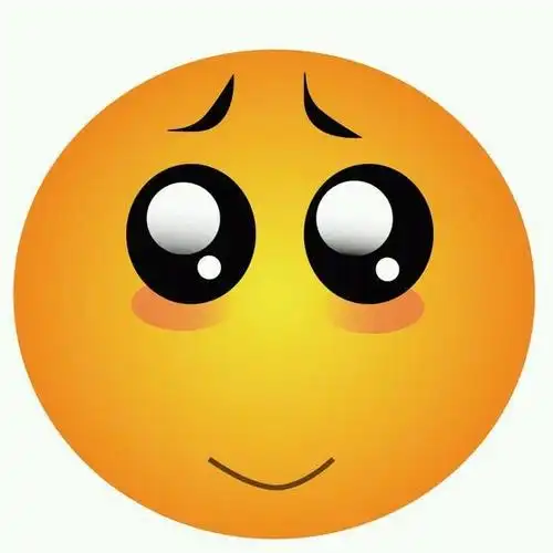 放大版的贴吧表情包