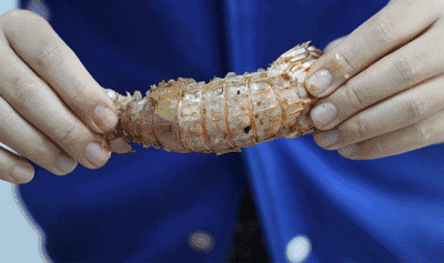 一把花椒一把盐,给皮皮虾注入灵魂!