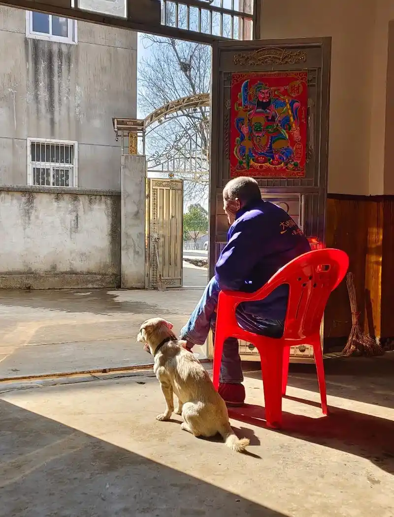 看到随拍的第一张照片,阳光下的老人与狗,佝偻的背影,才觉得父 - 抖音