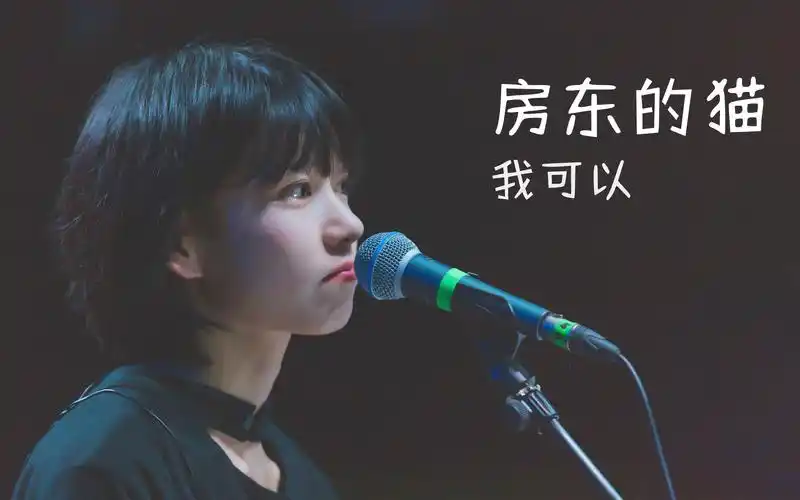 房东的猫我可以歌词版mv在你的背景有我爱你