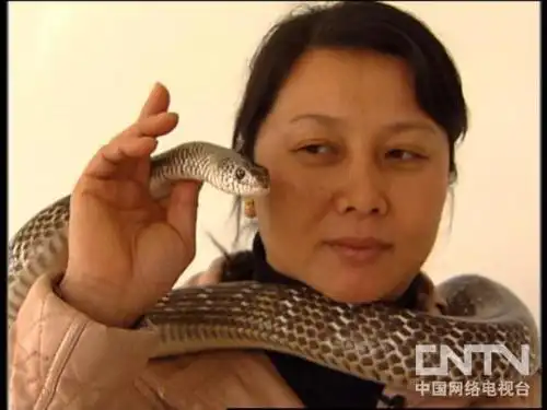 《流行无限》周文倩:大山里走出的"女蛇王"