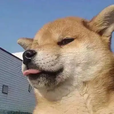 新白娘子传奇青城山下白素贞超帅的狗头殿下