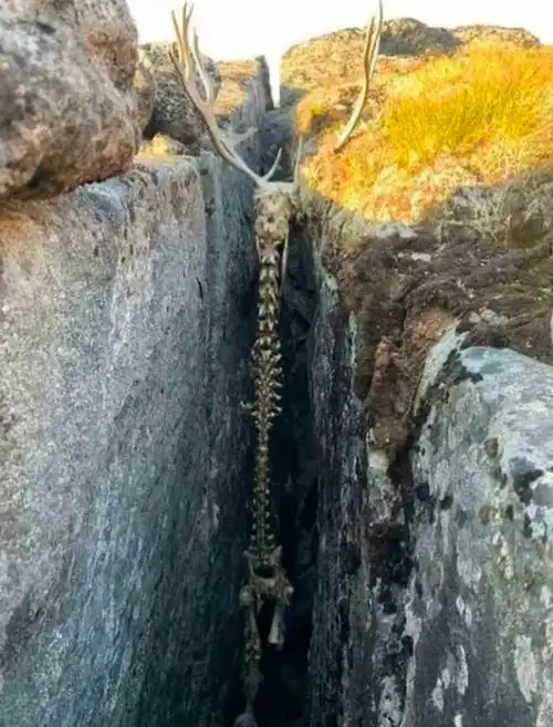慎入,19张细思恐极的图片,最后的最恐怖